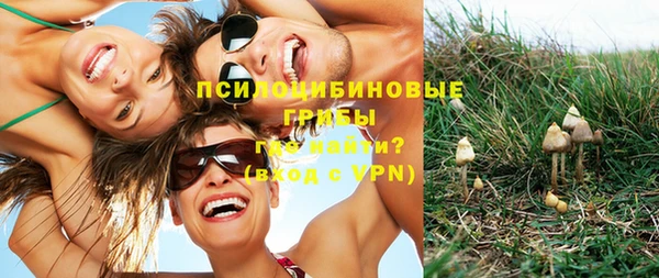 хмурый Краснослободск