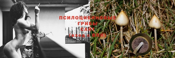 тгк Красноперекопск
