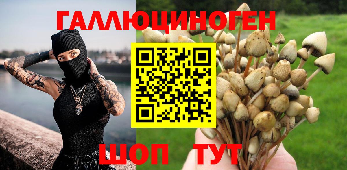 Псилоцибиновые грибы Magic Shrooms Кингисепп