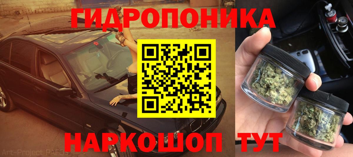 Бошки марихуана Ganja Кингисепп